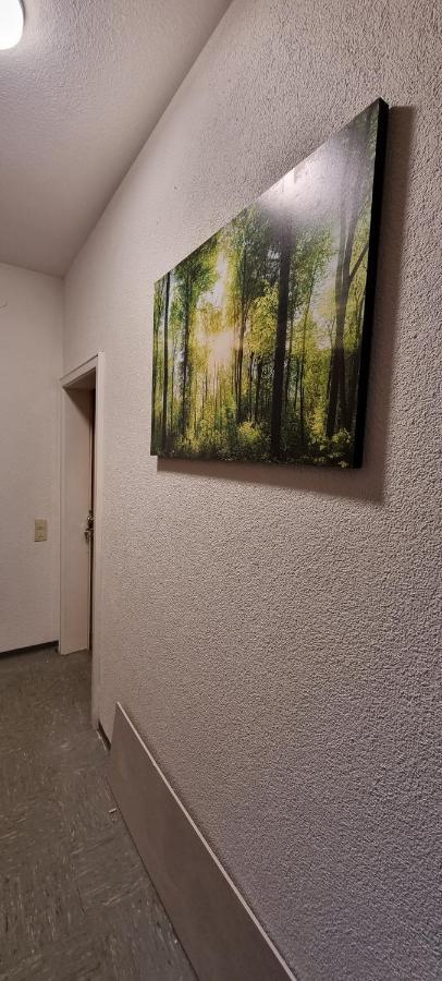 Waterfalls Apartment 2 Triberg im Schwarzwald Dış mekan fotoğraf